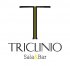 Lanzamiento de Nueva Web: triclinio.es