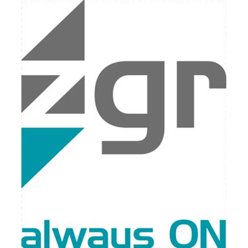 logo zigor